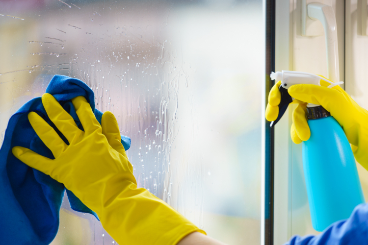 Window Cleaning Services Sharjah